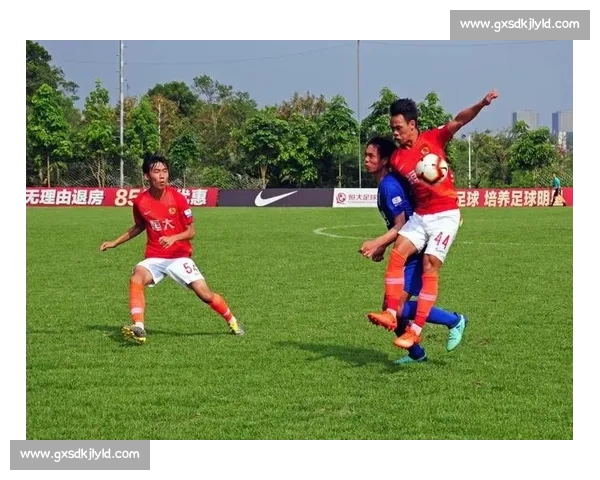 国内足球联赛发展现状与未来趋势分析及改革路径探讨